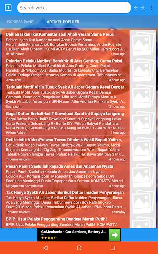 Everest Web Browser screenshot 2