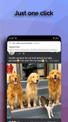 face video story Download screenshot 11