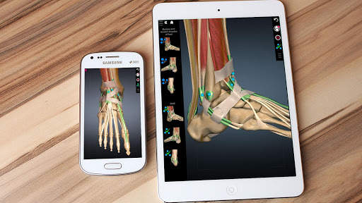 Anatomy Learning - 3D Anatomy Atlas screenshot 7
