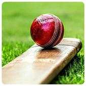Cricket Hit Ball 1.0