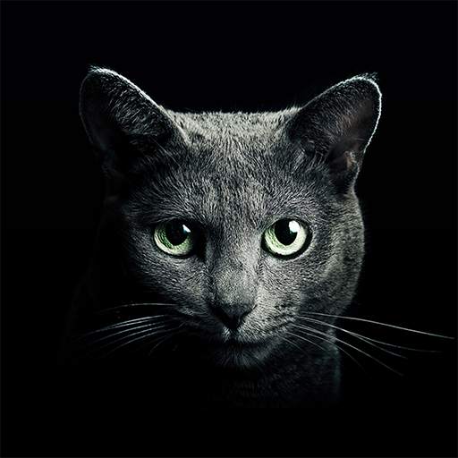 Find a Cat 5.10.0