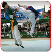 Taekwondo Kata icon
