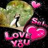 Love Romantic GIF Frames 10.9