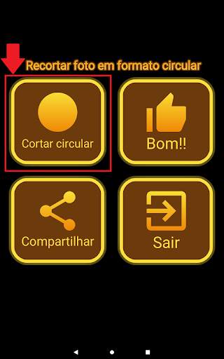Recortar foto em formato circular screenshot 14