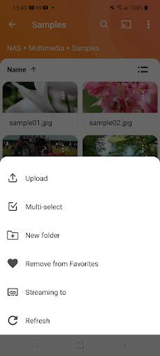 Qfile screenshot 7