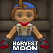 Guide Harvest Moon 1.0