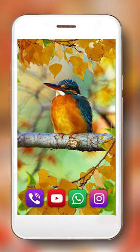 Autumn Birds Live Wallpaper screenshot 4