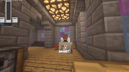 jenny mod for Minecraft PE screenshot 2