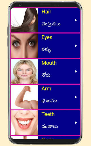 Learn English From Telugu screenshot 3