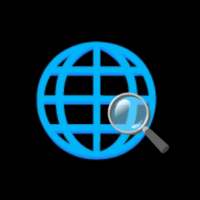 No History Mini Browser