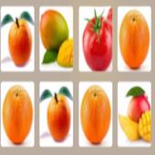 FRUIT FUZLE icon