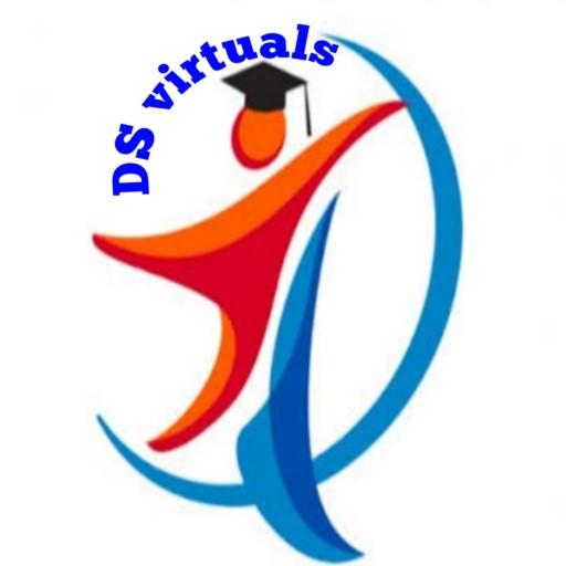 DS Virtual icon