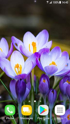 Beautiful Spring Flowers Live Wallpaper screenshot 1