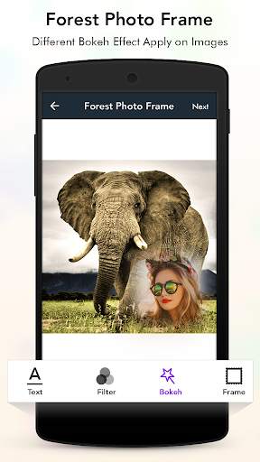 Forest Photo Frame screenshot 3