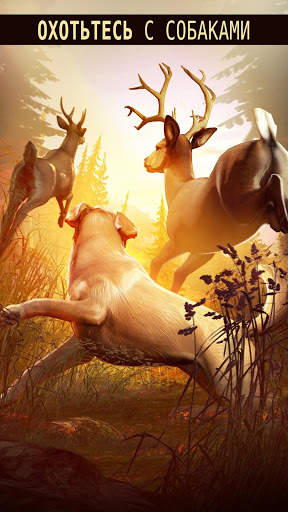 Deer Hunter 2018 скриншот 17