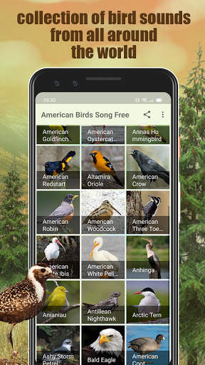 All Bird Sound And Ringtones screenshot 2