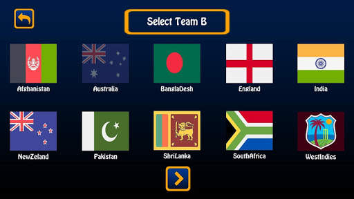 Cricket King screenshot 2