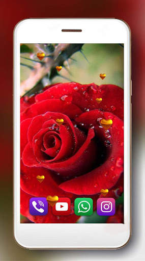 Roses Red Love Live Wallpaper screenshot 5