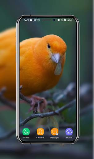 Birds Wallpaper screenshot 1