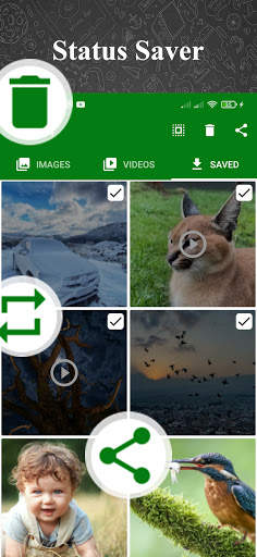 Status Saver For WhatsApp screenshot 6