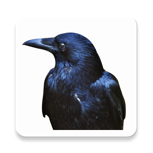 News Crow icon