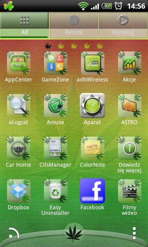 Rasta Theme for GO Launcher screenshot 2