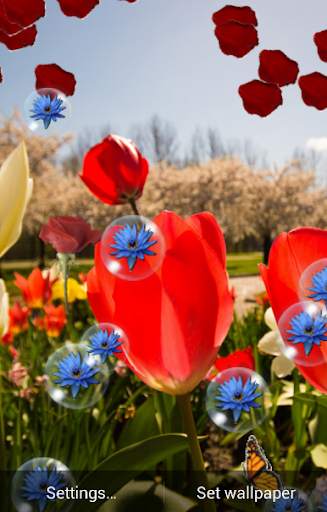 Spring Live Wallpaper screenshot 4