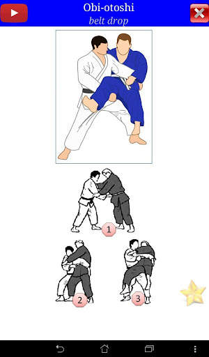Judo in brief screenshot 9