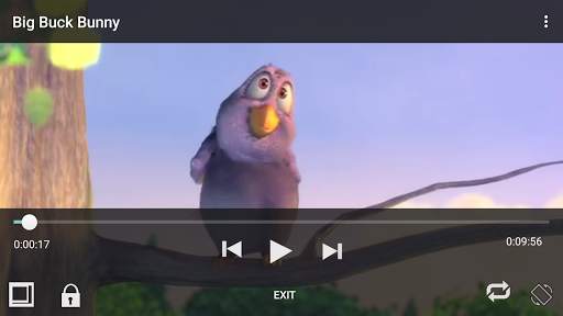 Lettore video screenshot 6