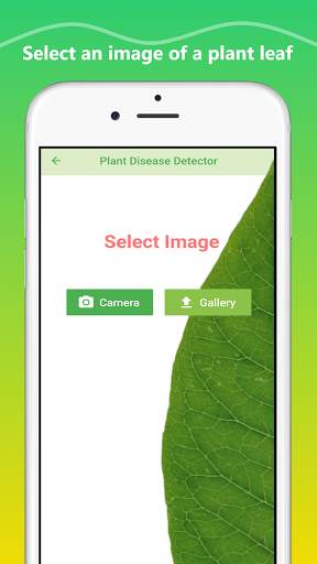Plant Disease Identification app screenshot 3