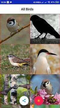 All Birds स्क्रीनशॉट 1