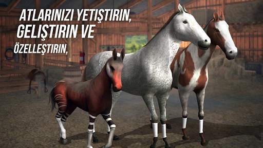 Photo Finish Horse Racing screenshot 4