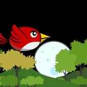 Angry Bouncing Bird