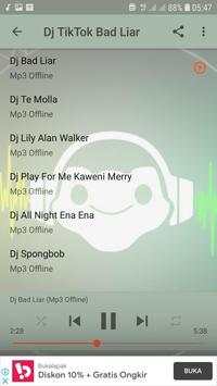Dj Bad Liar - Tiktok Offline screenshot 3