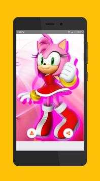 Wallpapers for Amy Rose Hedgehog Lovers HD screenshot 2
