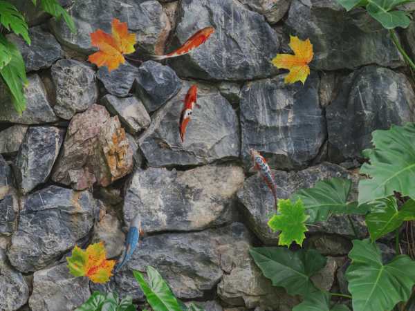 Water Koi Fish Pond LWP screenshot 8