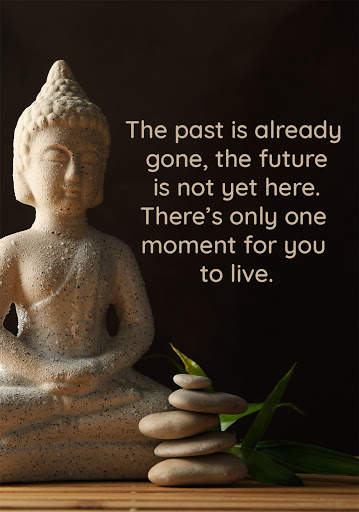 Buddha Wisdom Quotes | Motivational Quotes offline screenshot 4