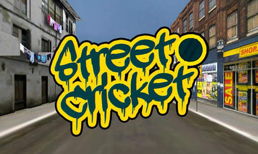 Street Cricket screenshot 1