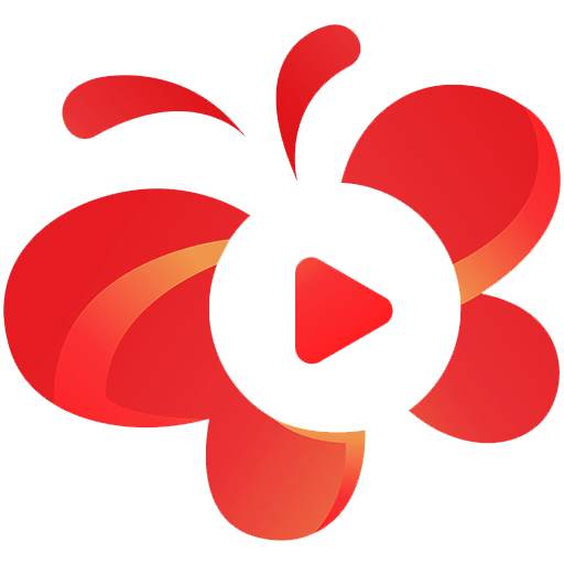 DIY Video Crafts 3.4
