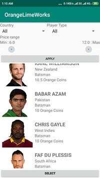 OLW Cricket screenshot 2