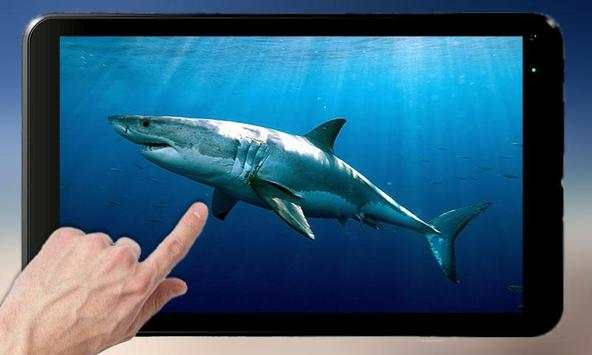Shark Attack स्क्रीनशॉट 5