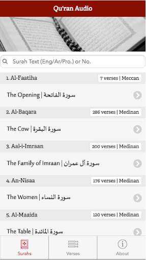 Qur'an Audio screenshot 1