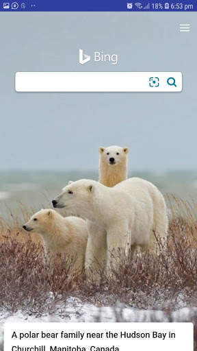 Mini Browser screenshot 5