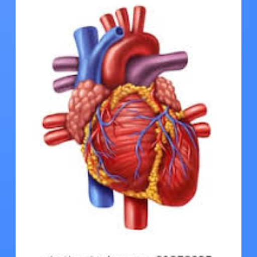 Heart Sounds icon
