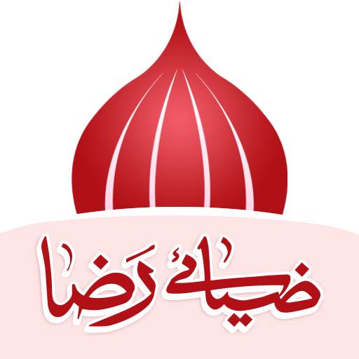Zia e Raza 1.13