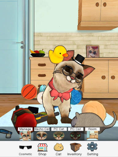 마쵸 고양이 :애완 고양이 시뮬레이터 screenshot 11