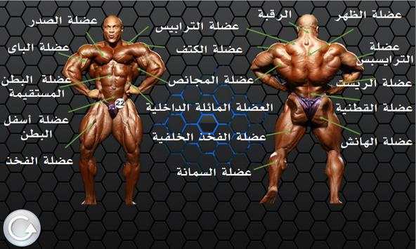 تمارين كمال الأجسام 2 تصوير الشاشة