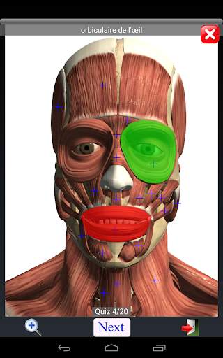 Anatomy Quiz screenshot 11