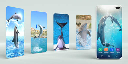 Dolphins Wallpaper screenshot 1