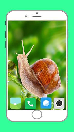 Snail Wallpaper Full HD screenshot 15
